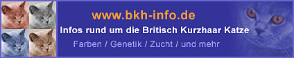 www.bkh-info.de